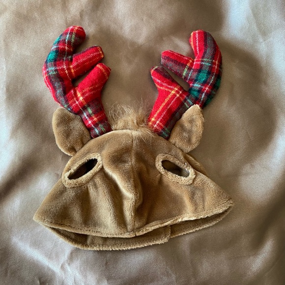pet reindeer hat - Picture 2 of 3